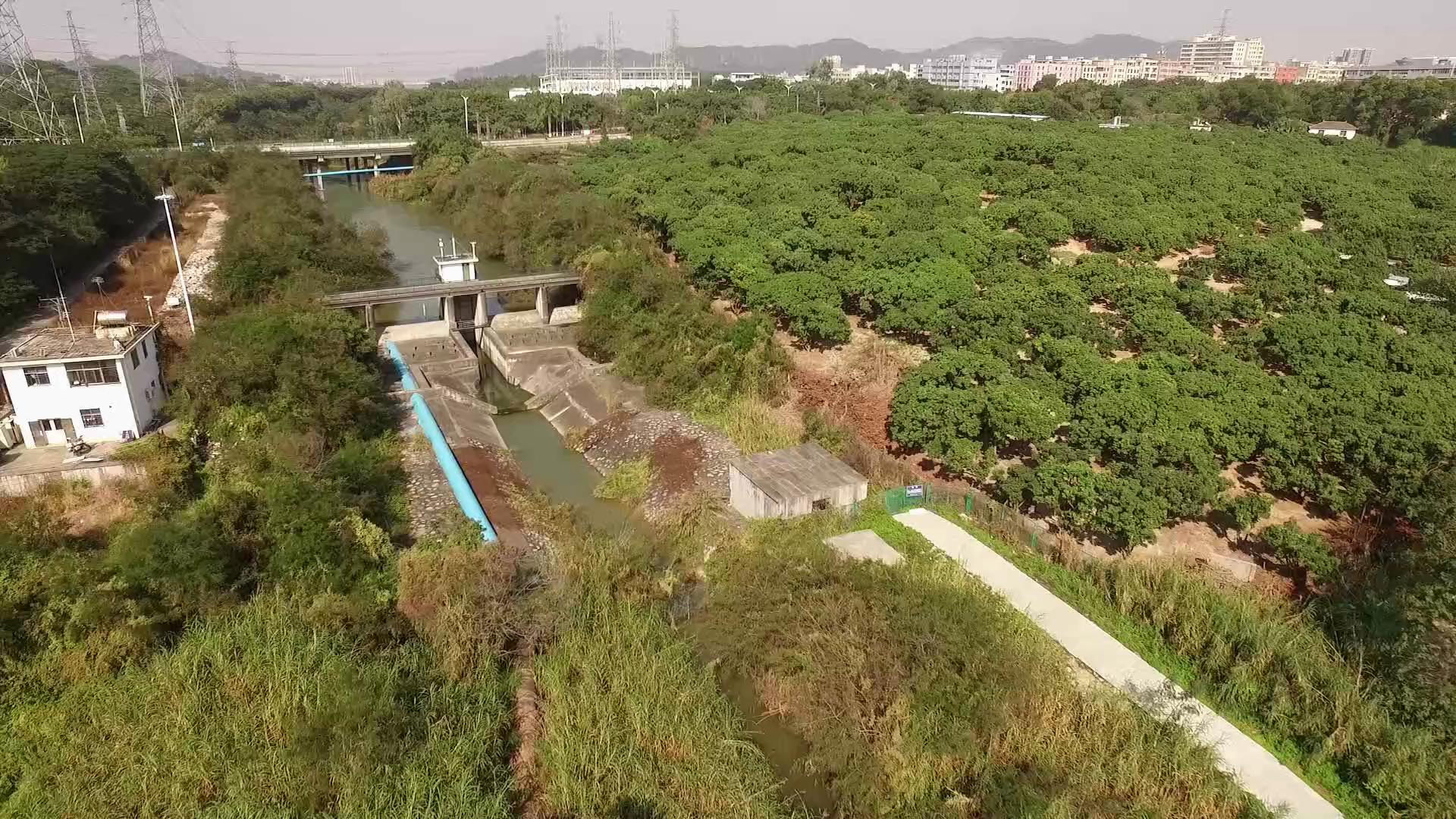 深圳铁岗·长流陂支流供水工程